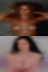 brendisFlueckiger1993, , brendisFlueckiger1993, ,