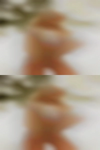 nettieEhorn, , 