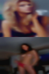 salscheer, , 