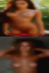 salvoPinckney1993, , 